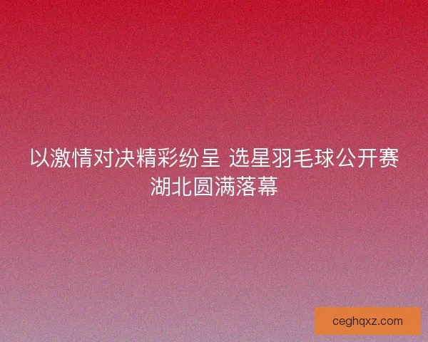 以激情对决精彩纷呈 选星羽毛球公开赛湖北圆满落幕